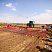 Борона зубовая ЛАРИ-7