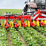 Культиватор пропашный Pottinger FLEXCARE V 6200